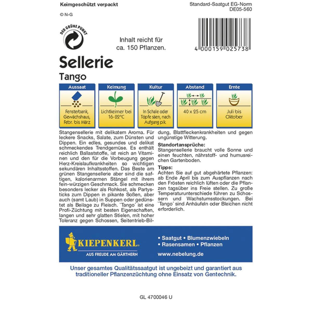 Kiepenkerl Stangensellerie Tango Profi-Line Bild 2
