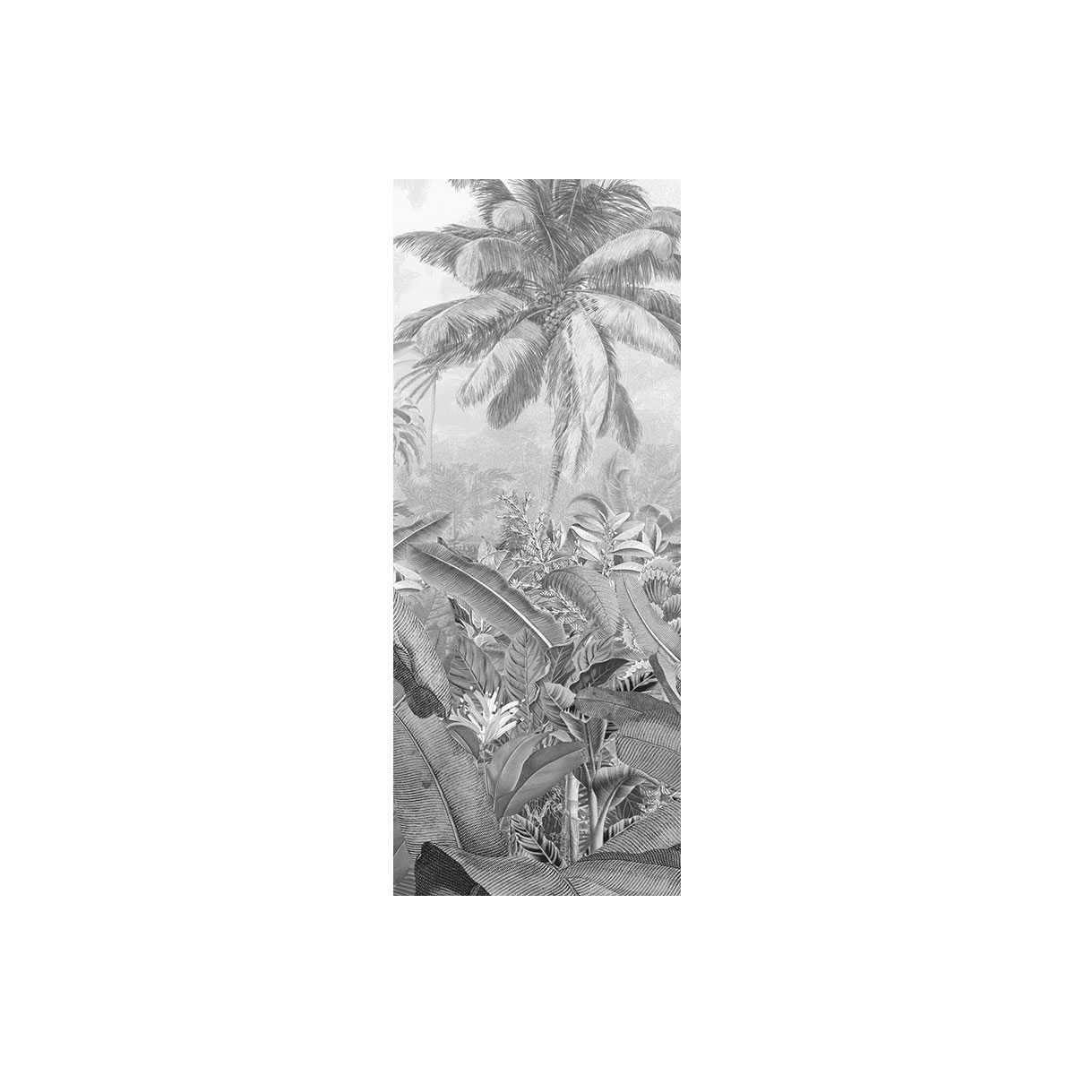 Komar  Vlies Fototapete Amazonia Black and White Panel 100x250 cm Bild 2