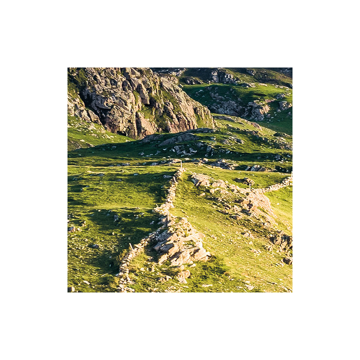 Komar  Vlies Fototapete Breath Taking 400x250 cm Bild 5