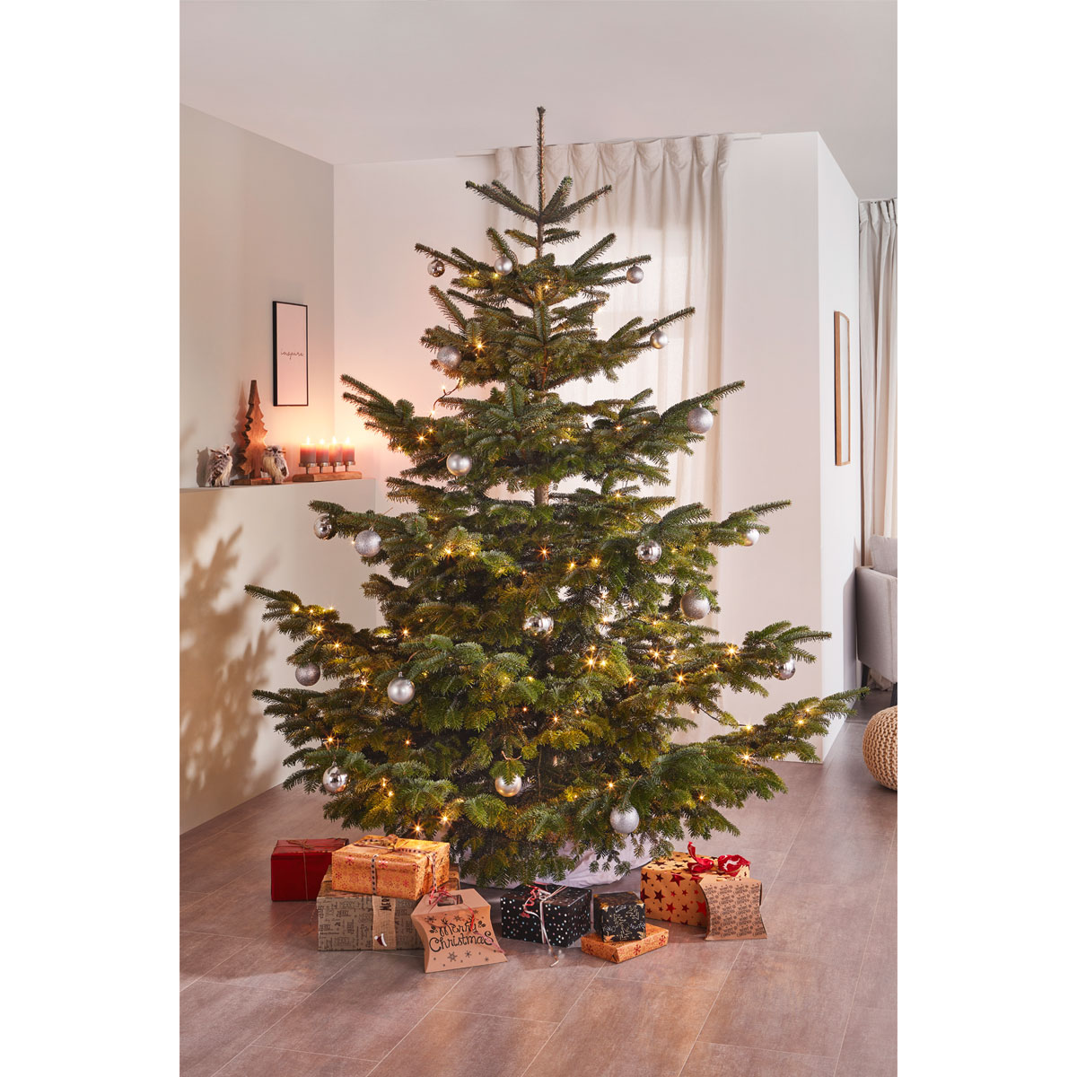 Plantiflor BIO Nordmanntanne 150-190 cm  Bild 2