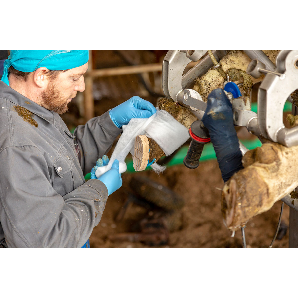 Rollwatte Rollino 10 x 300 cm weiß 8 Stück Bild 4