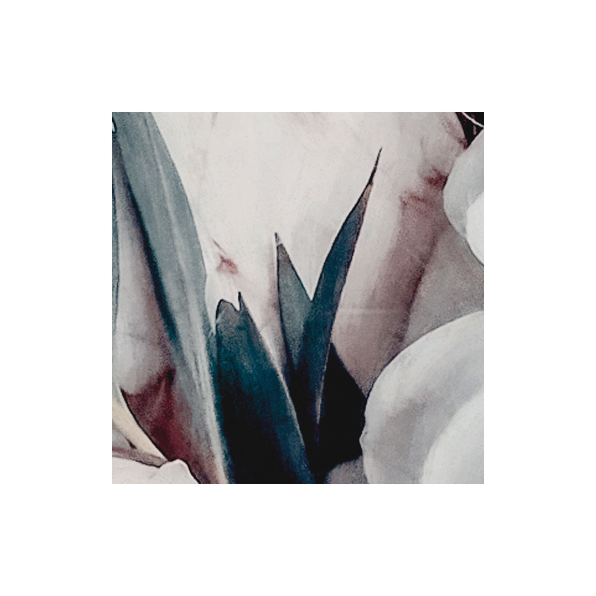 Komar  Vlies Fototapete Blossom Clouds 250x250 cm Bild 3