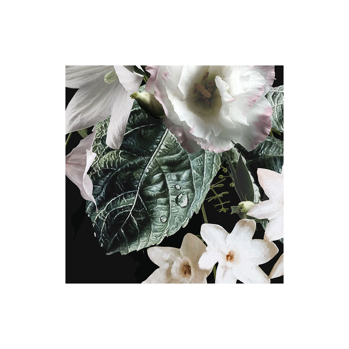 Komar  Selbstklebende Vlies Fototapete rund Enchanted Flowers Durchmesser 125 cm Bild 5