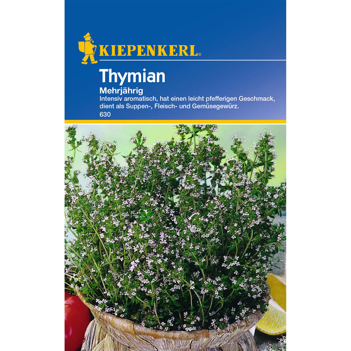 Kiepenkerl Thymian mehrjährig