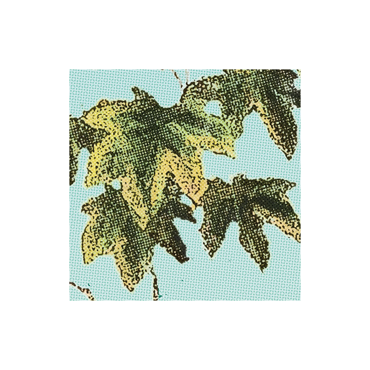 Komar  Vlies Fototapete Oasis 350x250 cm Bild 3