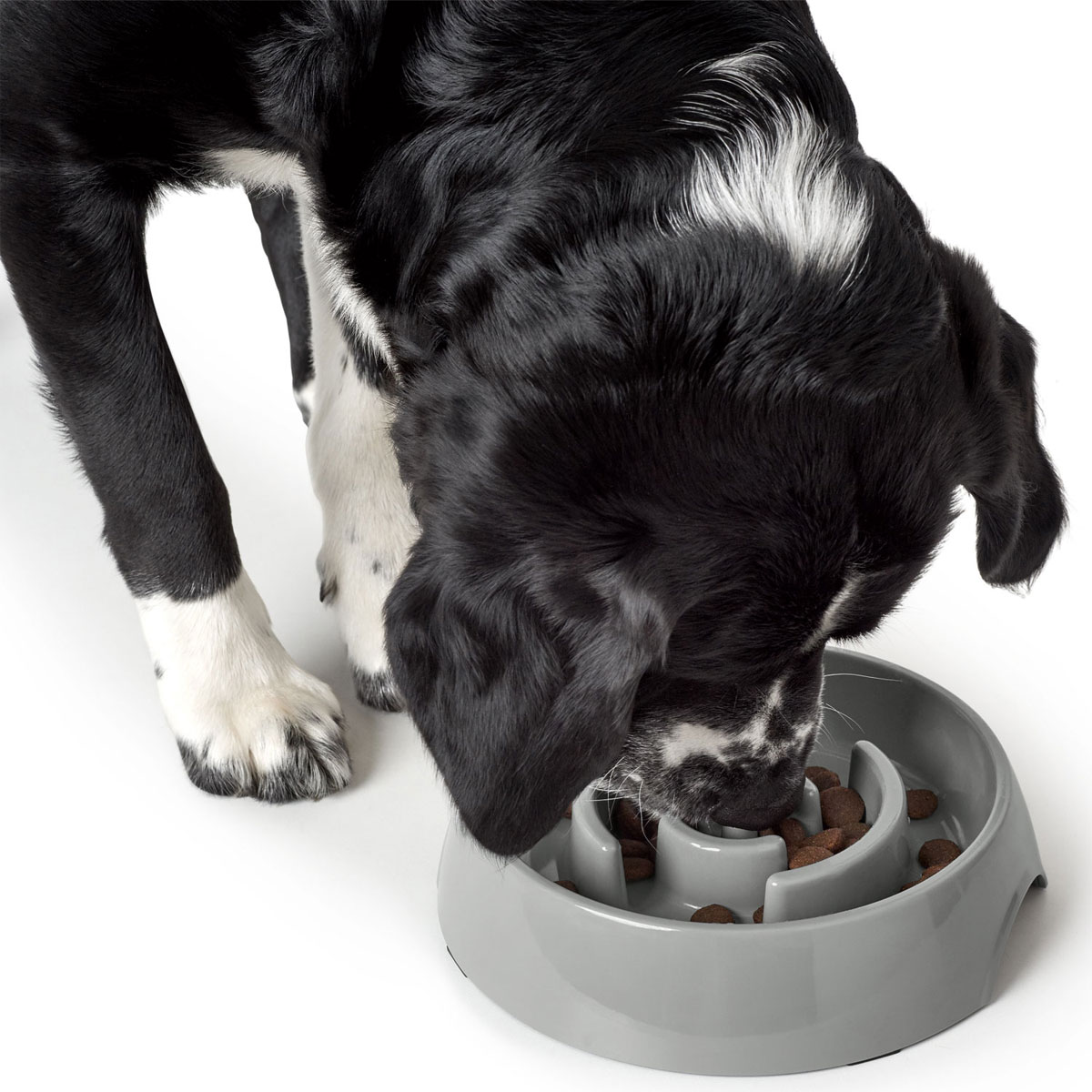 Hunter Anti-Schlingnapf Atlanta grau 550 ml Bild 5