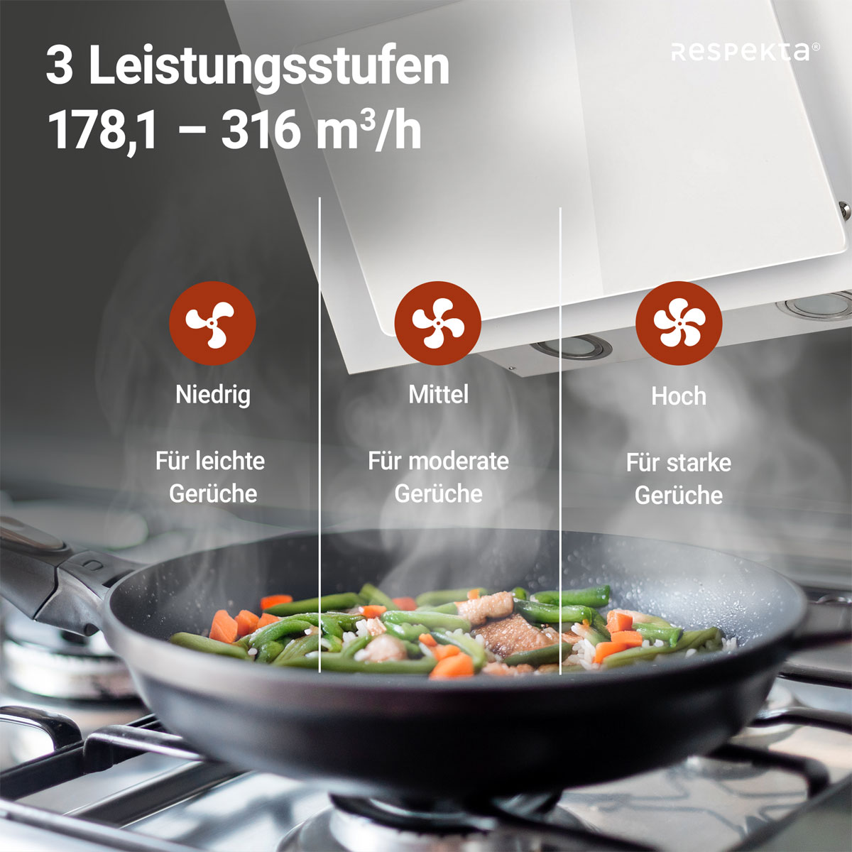 Respekta Schraeghaube EEK:B weiss 60cmCH33060WB Bild 7