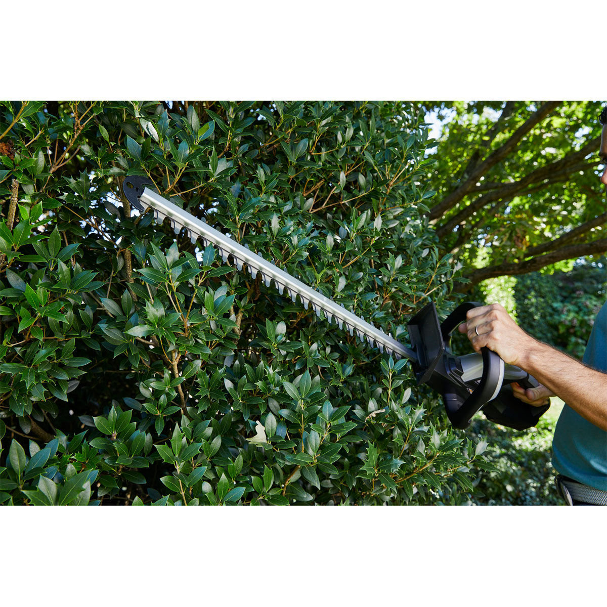 Alpina-Garden Akku-Heckenschere-Set AHT 20 Li 20V 3-teilig Bild 9