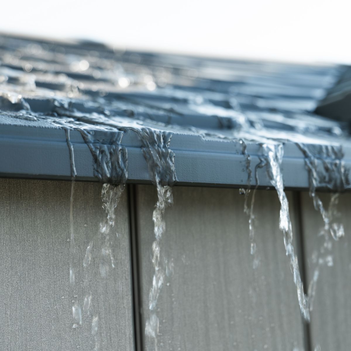 Lifetime Gerätehaus Pluto 213,3x356,2x225,3 cm Bild 8