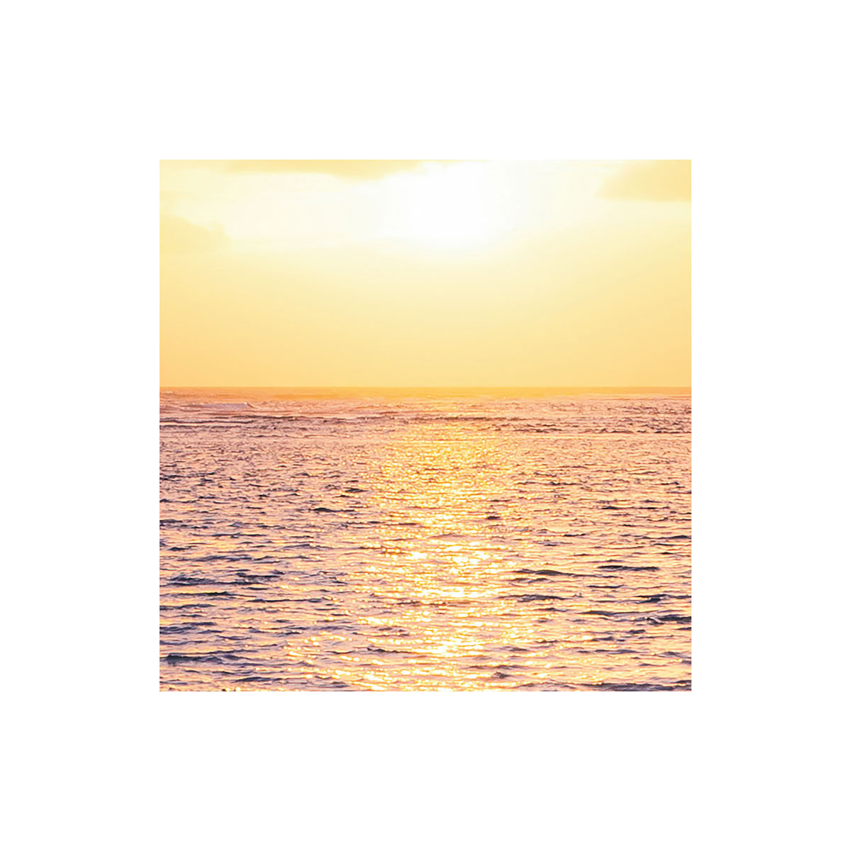 Komar  Vlies Fototapete Palmtrees on Beach 200x250 cm Bild 6