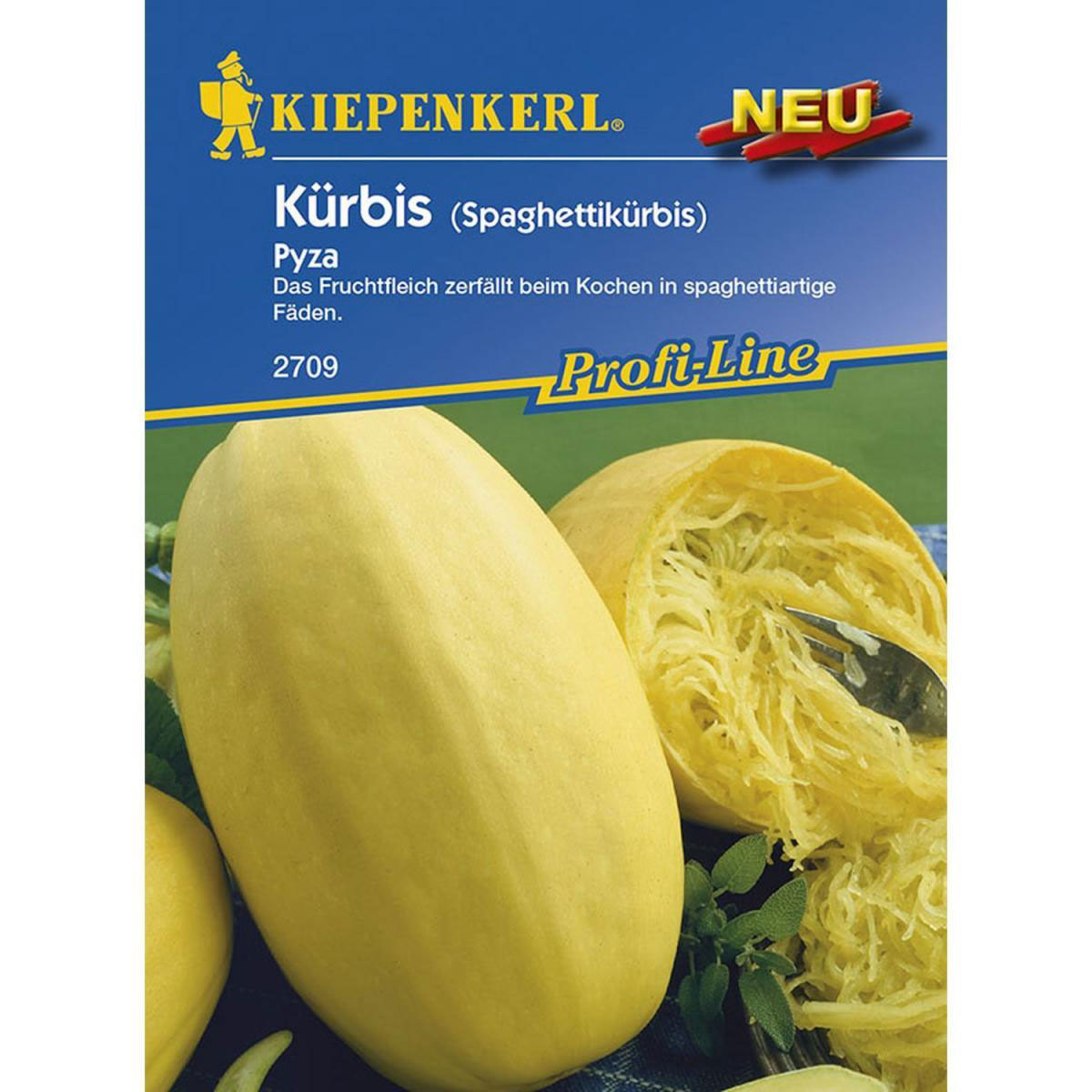 Kiepenkerl Kürbis Pyza Bild 1