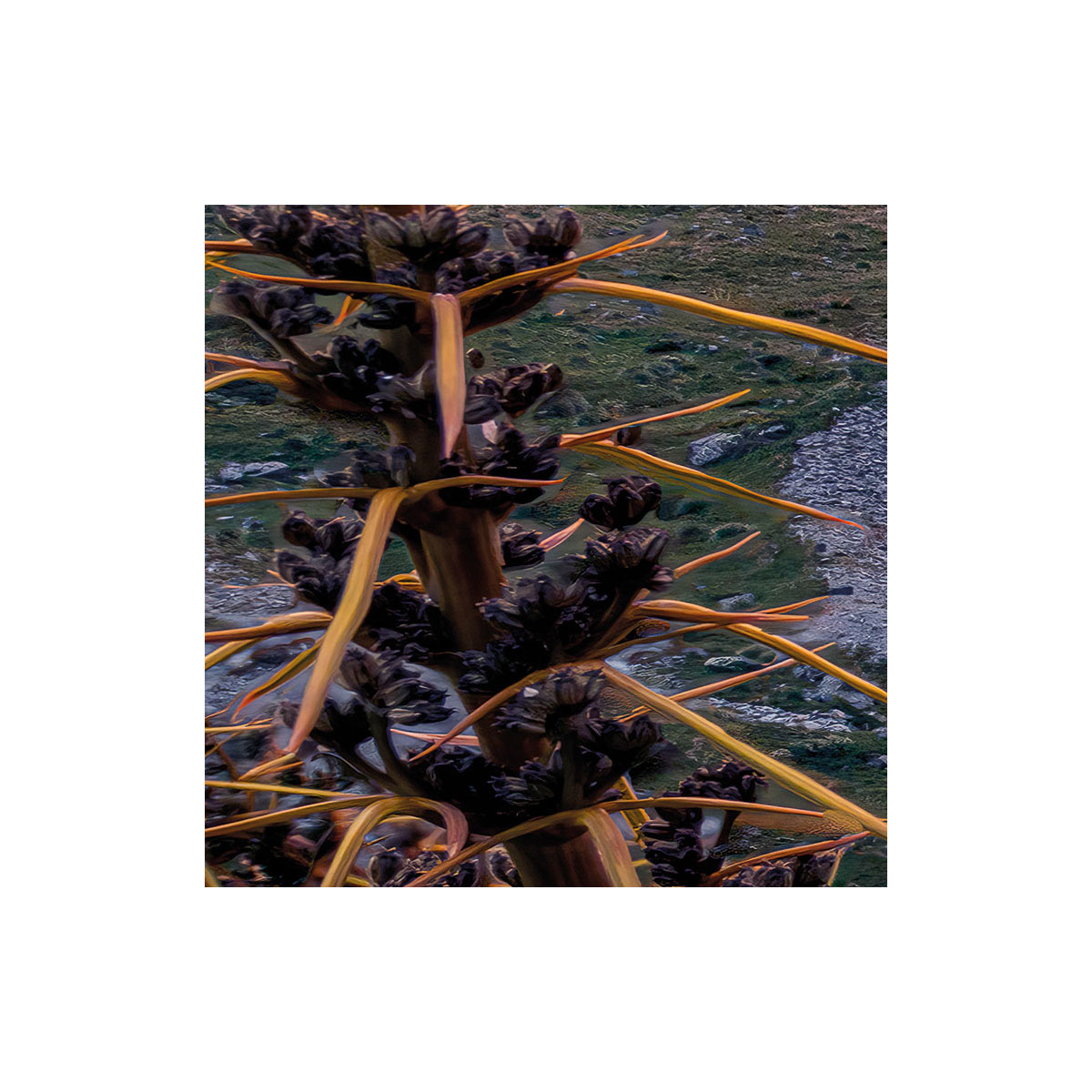 Komar  Vlies Fototapete Momentum Lord of the Mountains 450x280 cm Bild 6