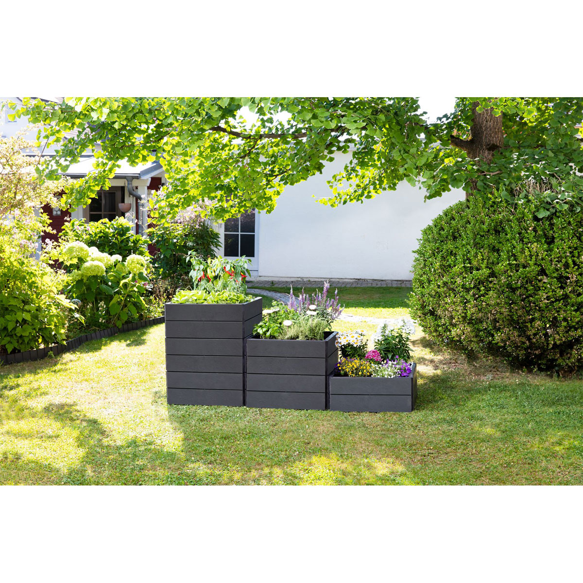 Garantia Hochbeet-System Ergo Quadro Größe S grau Bild 7