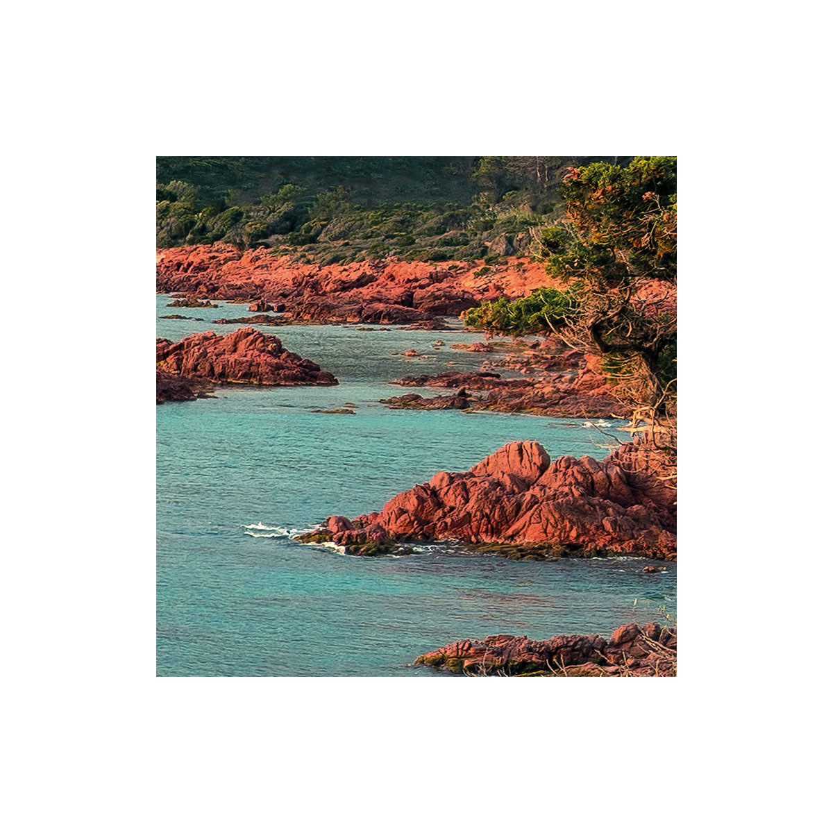 Komar  Vlies Fototapete Paradiso II 450x280 cm Bild 7