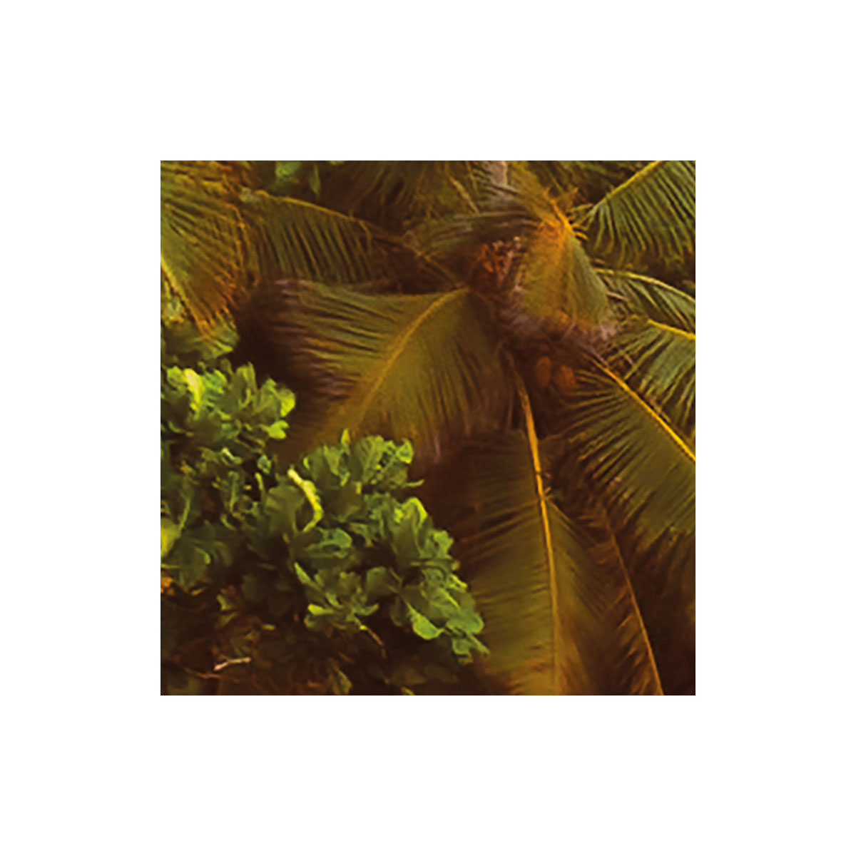 Komar  Vlies Fototapete Nature 368x248 cm Bild 6