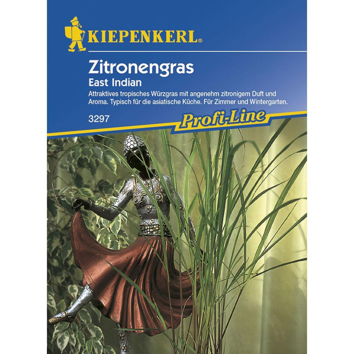 Kiepenkerl Zitronengras East Indian Profi-Line Bild 1