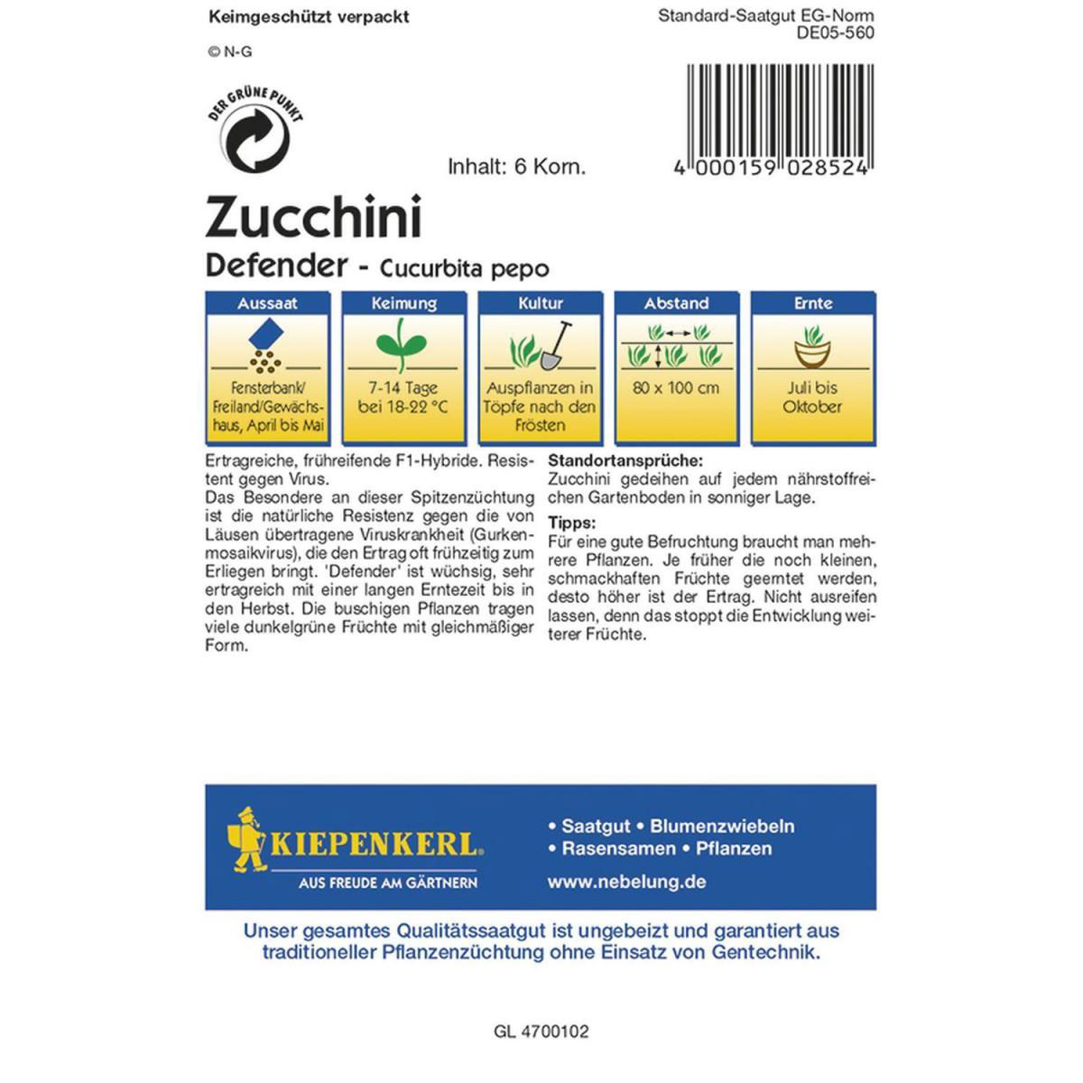 Kiepenkerl Zucchini Defender F1 Profi-Line Bild 2