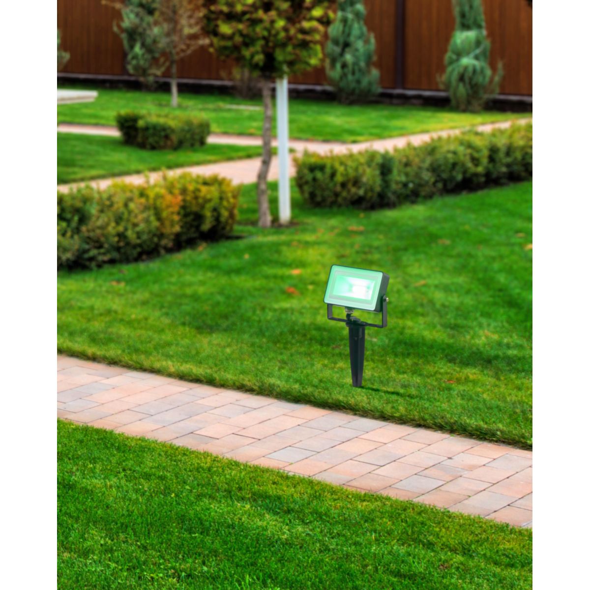 Eglo LED-Strahler Faedo 4 schwarz Bild 5