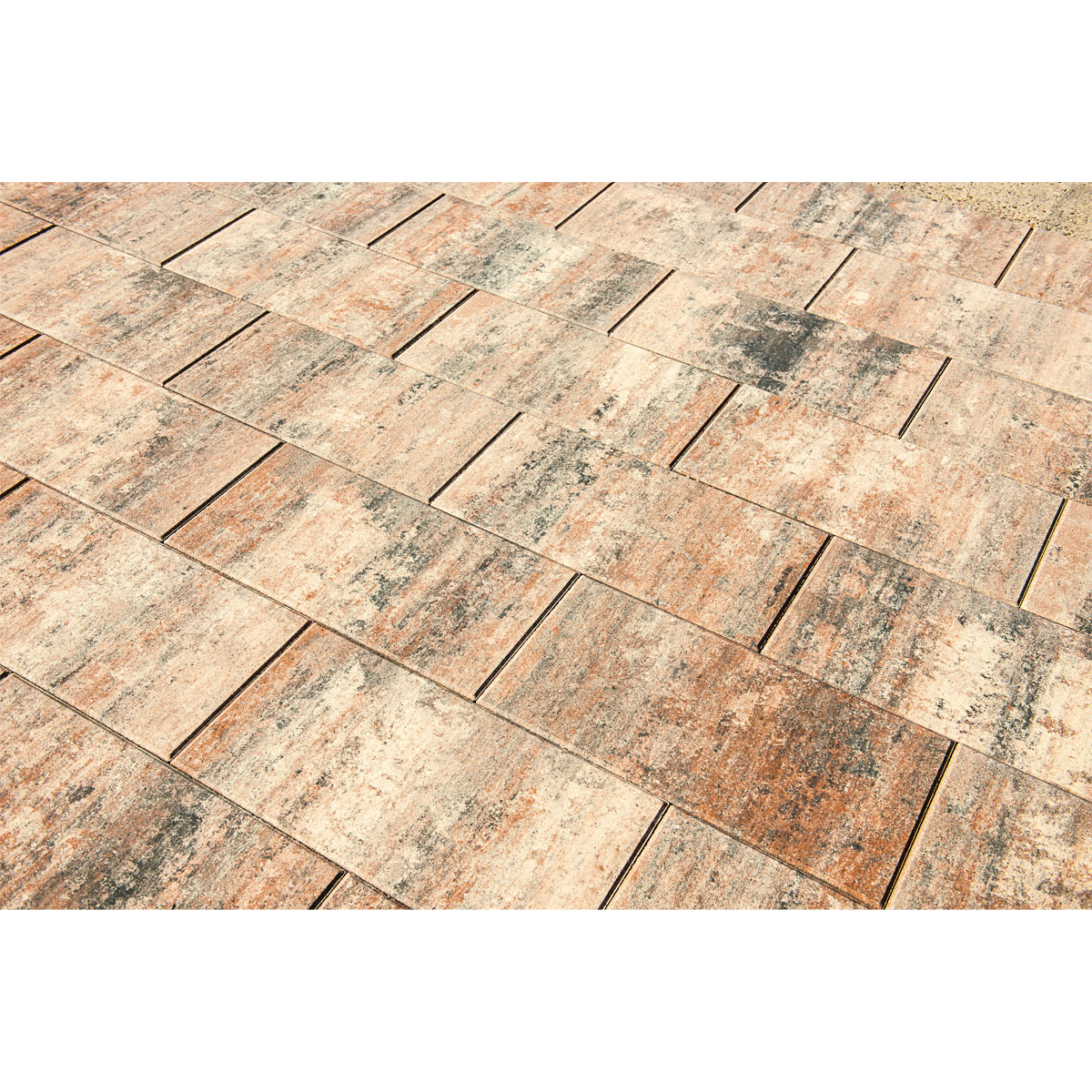 Terrassenplatte No 1 Nature Muschelbeige