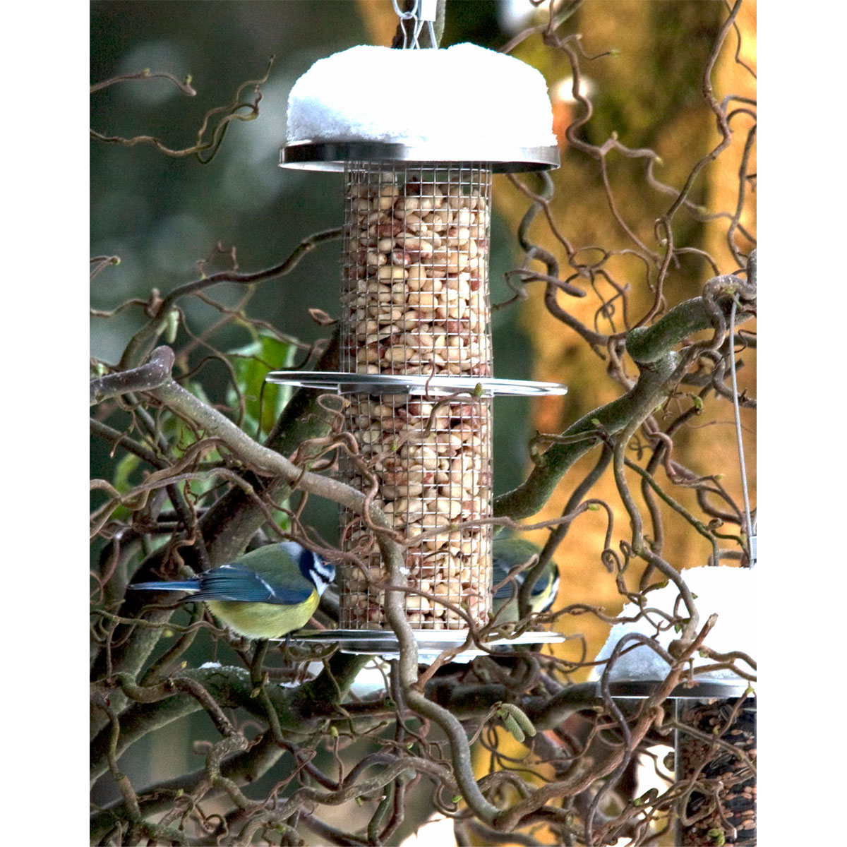 Futterspender mit Gitterröhre mit Anflugringen 14 x 14 x 26 cm Metall Silber Bild 8