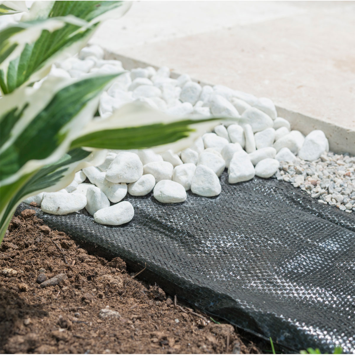 Windhager  Unterbodengewebe 5x2 m schwarz