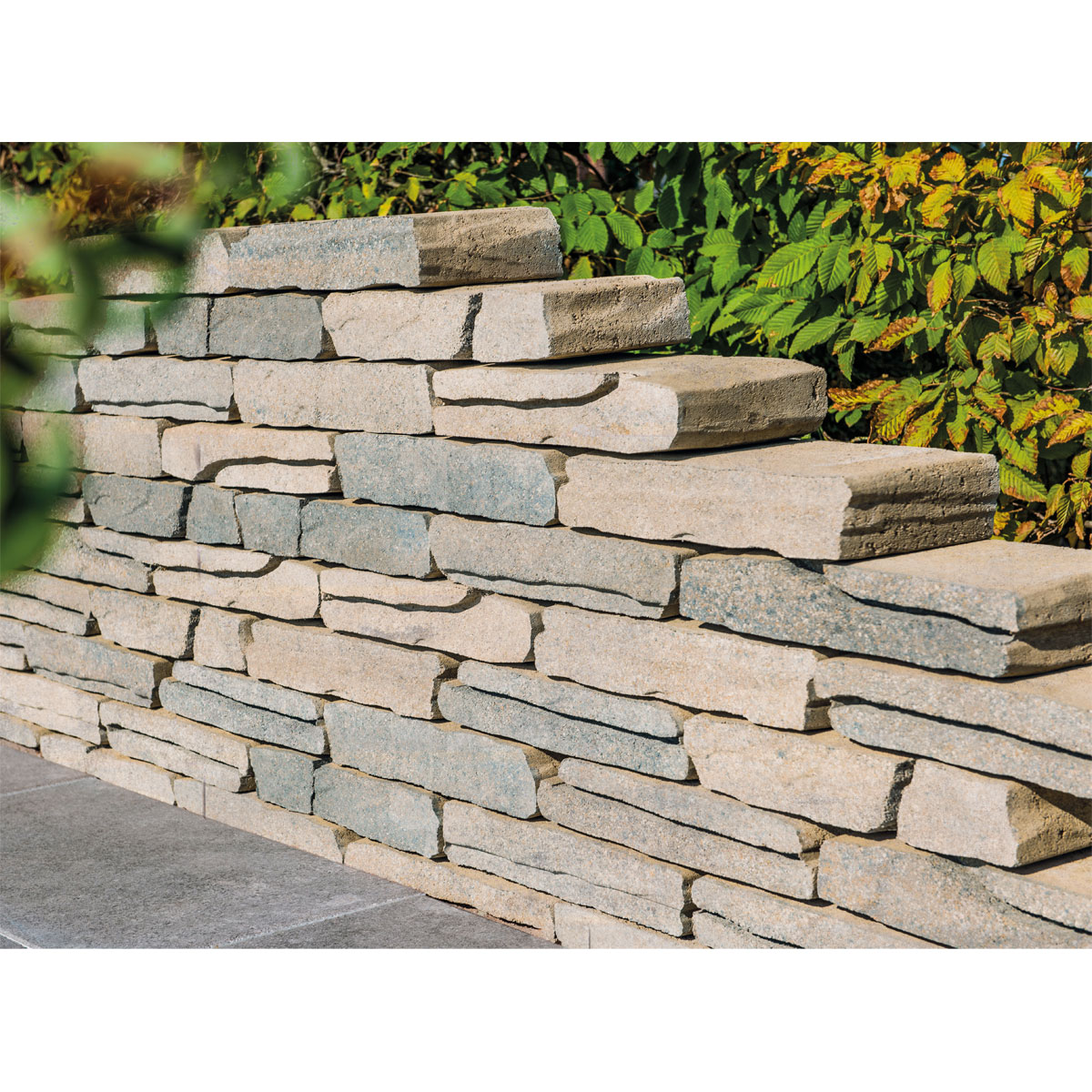 Diephaus  Mauer Vived 40/18/8 cm Muschelkalk Bild 1