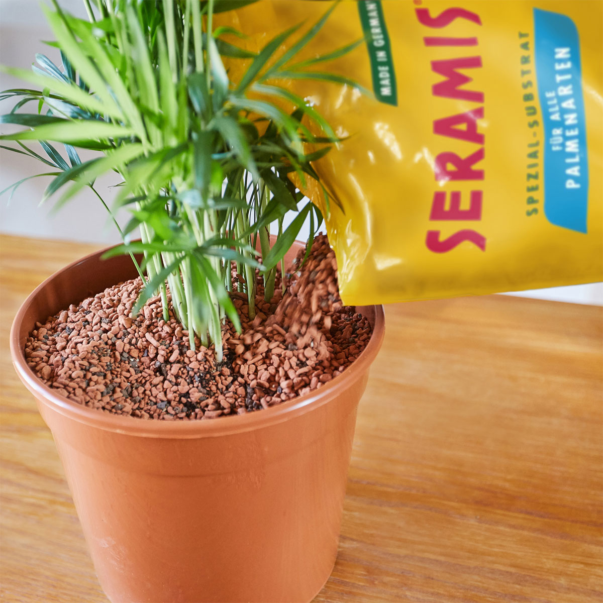 Seramis Substrat für Palmen 7 L Bild 5