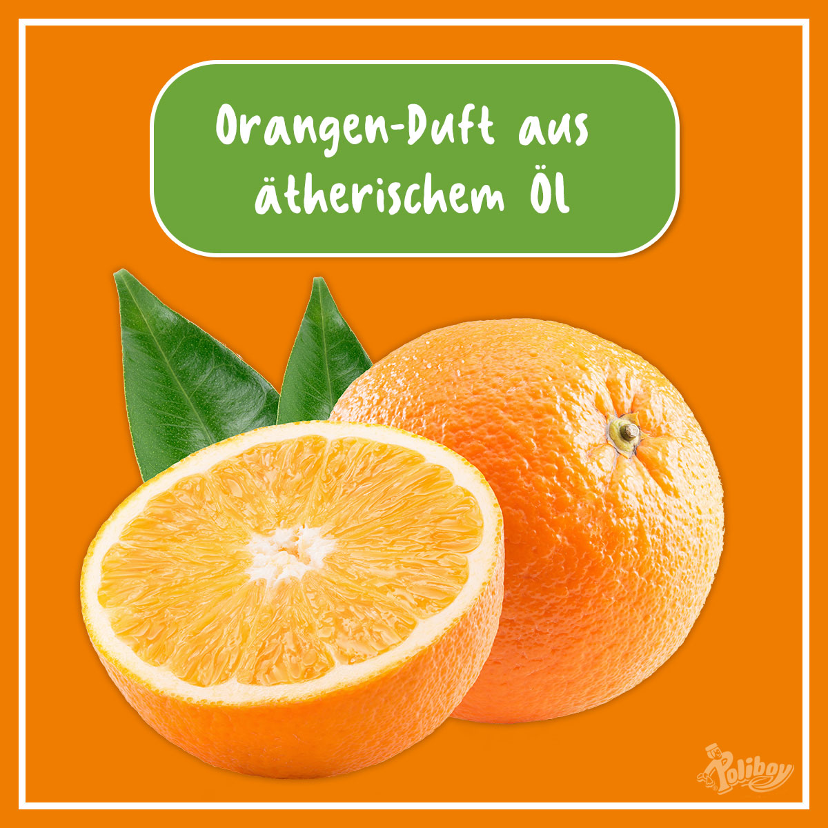 Poliboy Bio Küchenreiniger 500 ml Bild 2