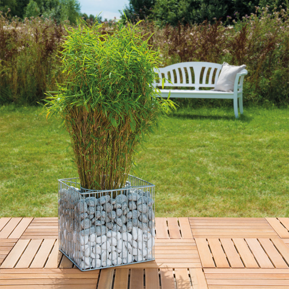 Wilk Gabionen-Pflanzgefäß Futura M Bild 4