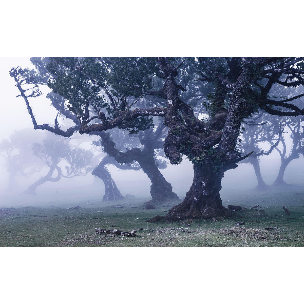 Komar  Vlies Fototapete Ghost Line 400x250 cm Bild 2