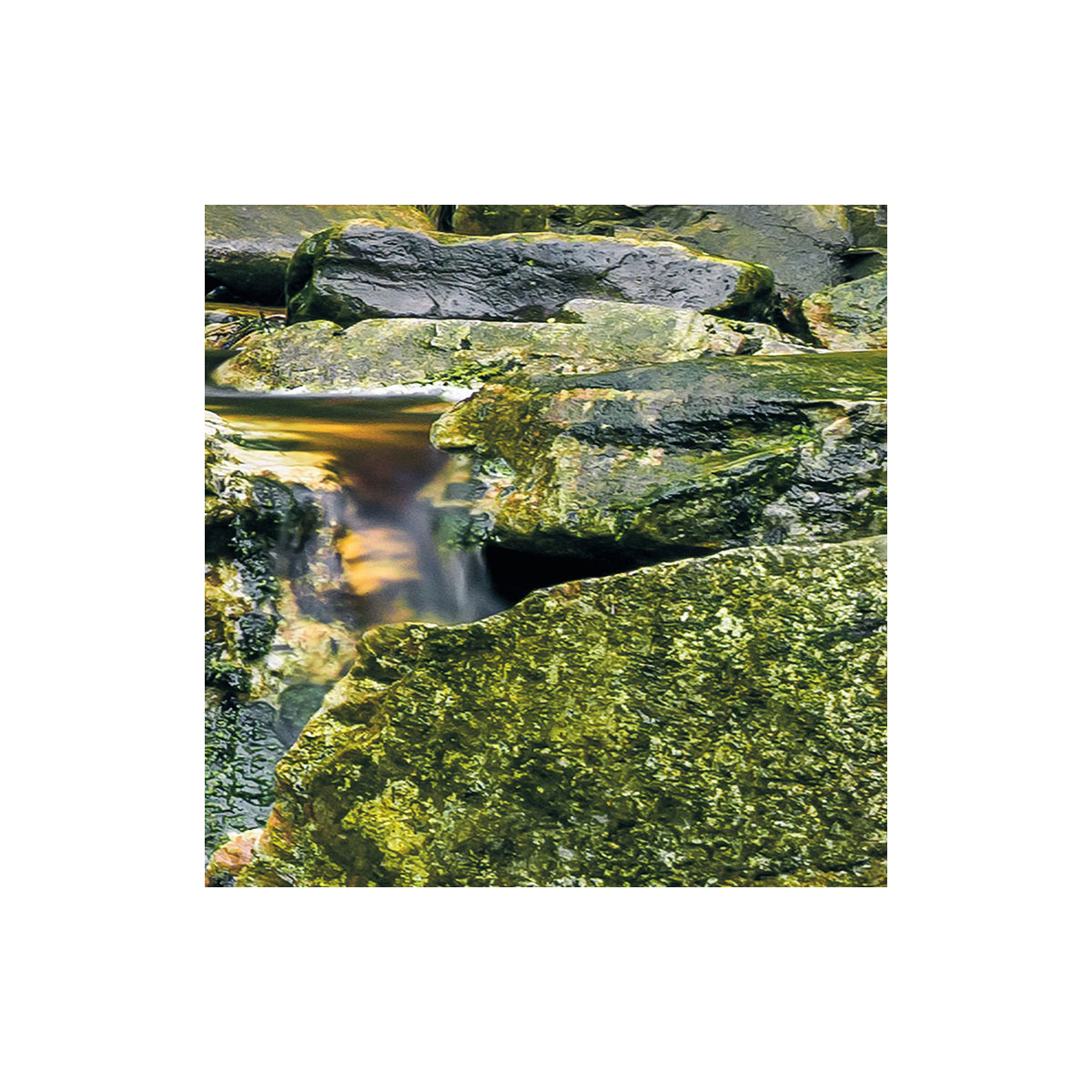 Komar  Vlies Fototapete Glenevin Falls 200x250 cm Bild 7