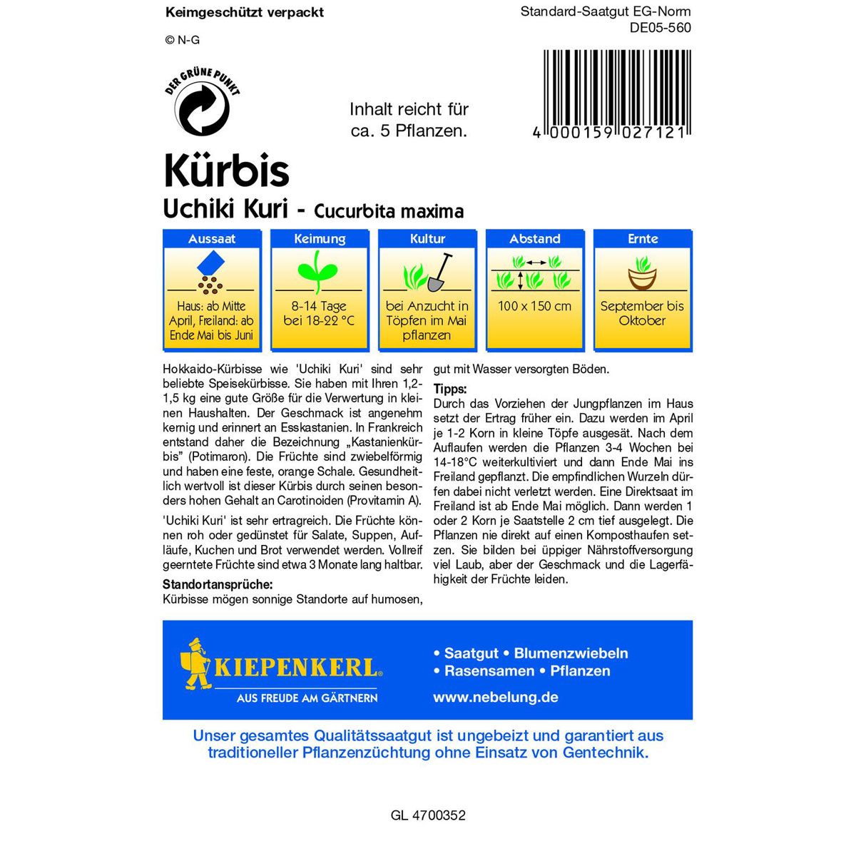 Kiepenkerl Kürbis Uchiki Kuri Bild 3