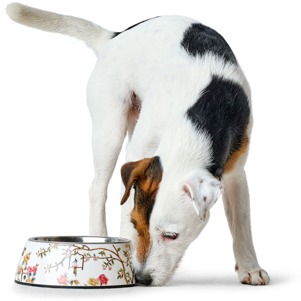 Hunter Melamin-Napf Mogami mehrfarbig 160 ml Bild 2