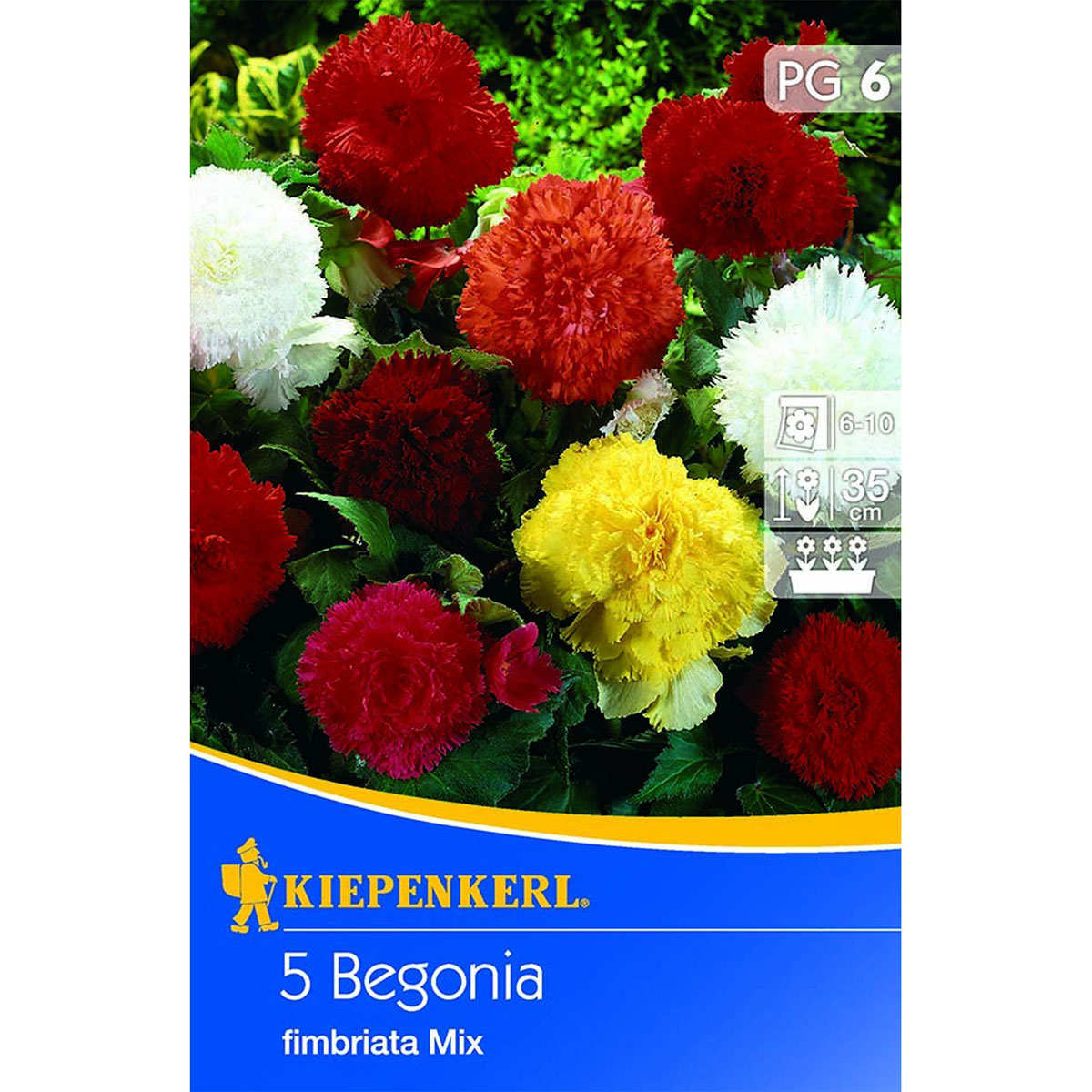 Kiepenkerl Begonien gefranste Mischung