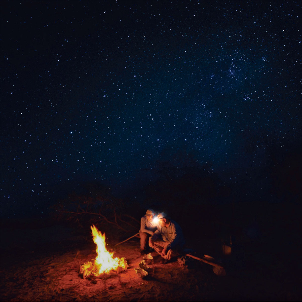 Flector LED-Stirnlampe 2 W Bild 2