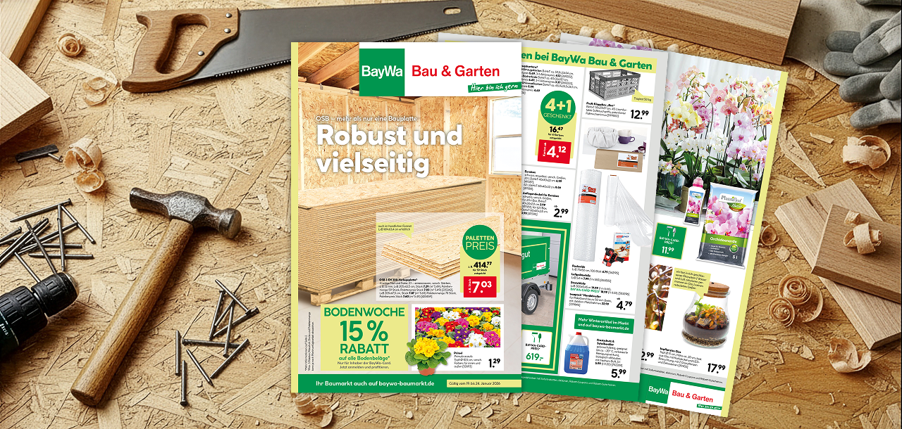 Beilage: Robust und vielseitig 