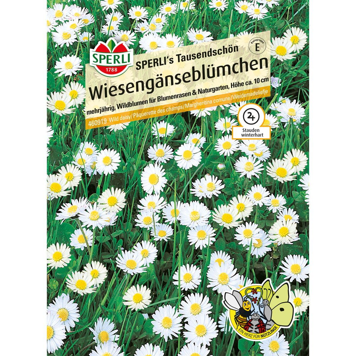 Sperli Gänseblümchen s Tausendschön