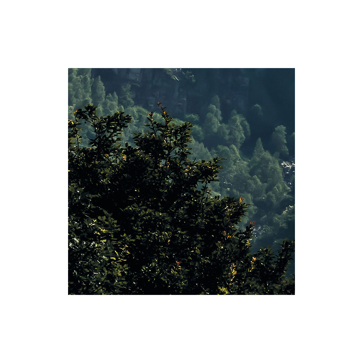 Komar  Vlies Fototapete The Summit 300x200 cm Bild 5