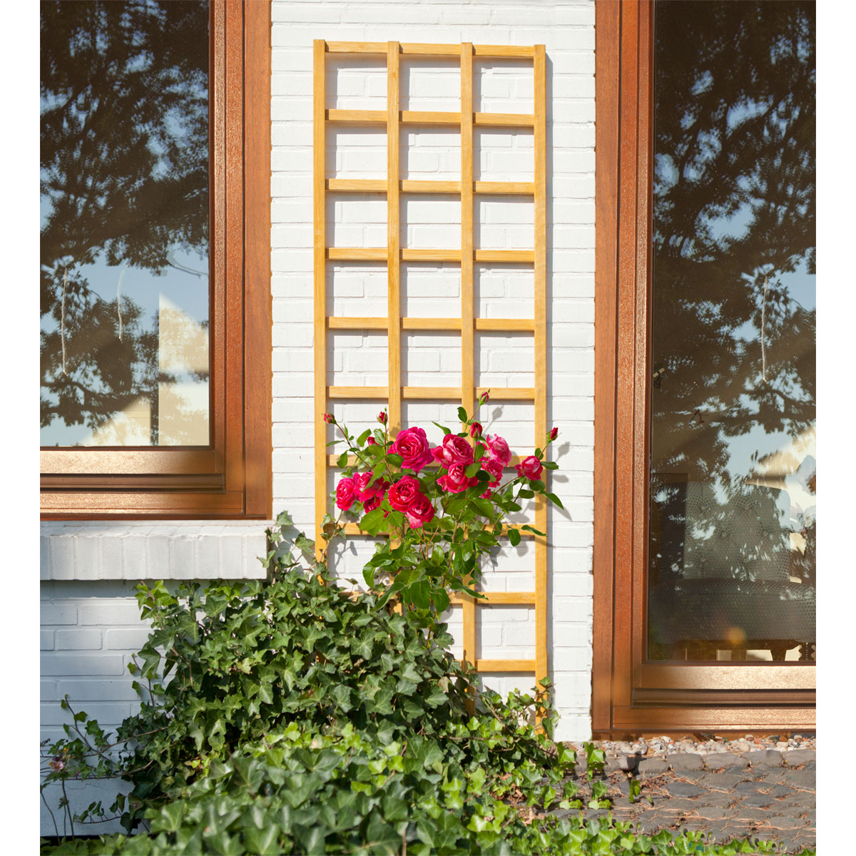 Rankgitter Rechteck Aspe braun 60x180 cm Bild 2