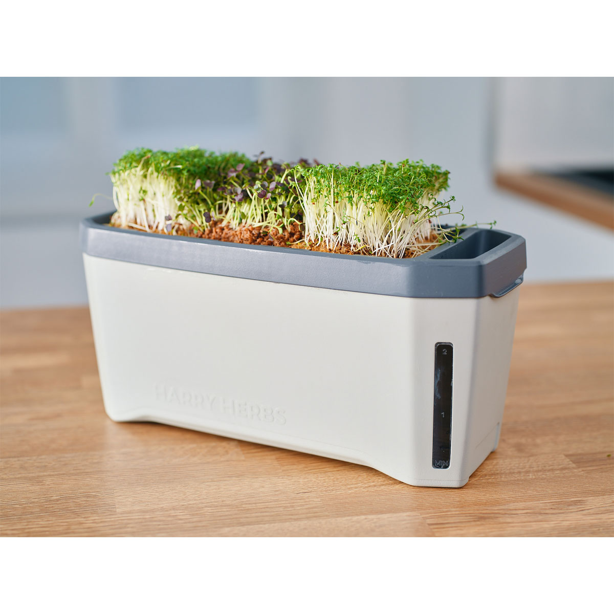 Anzuchtgefäß Harry Herbs mit Deckel hellgrau Bild 3