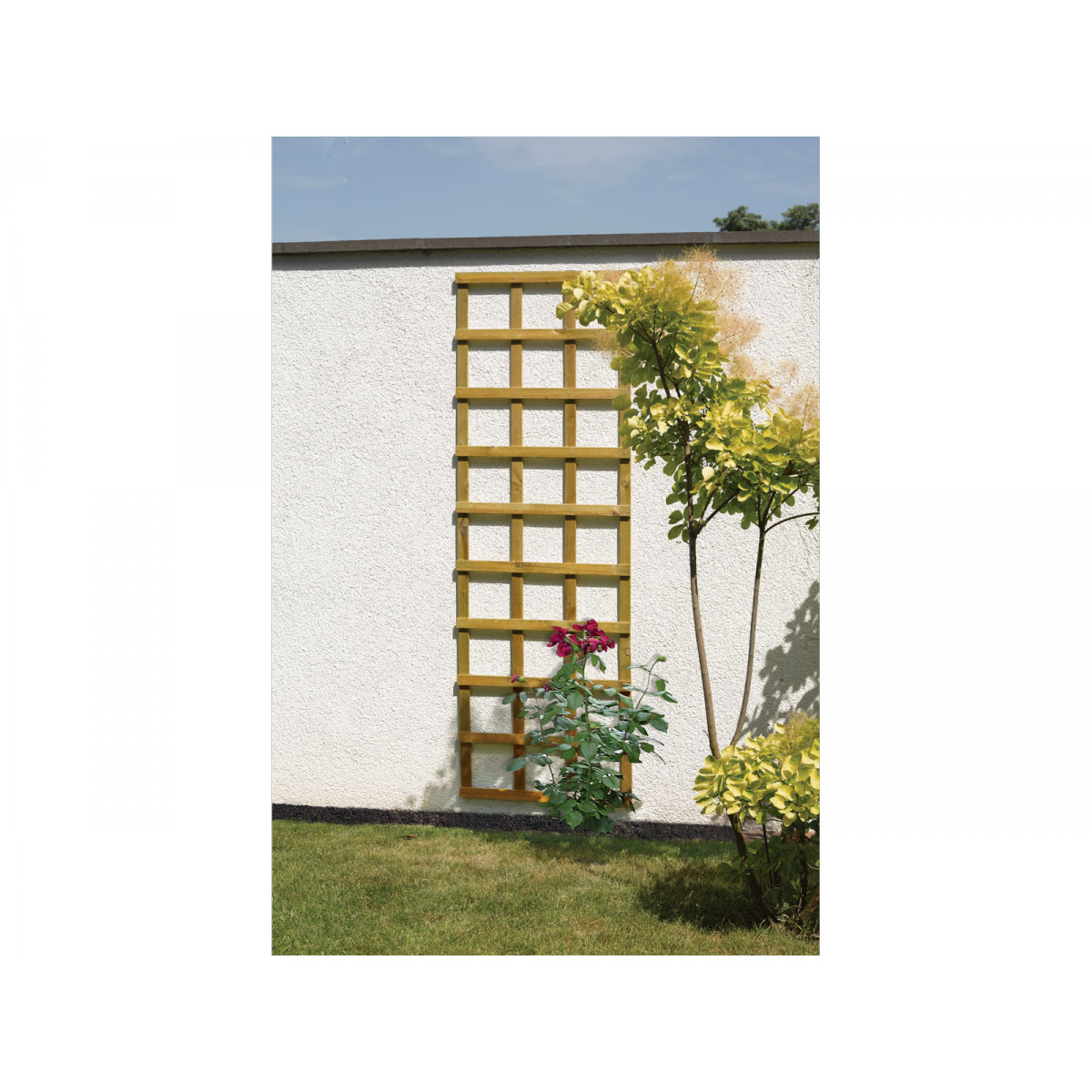 Spaliergitter Bild 1