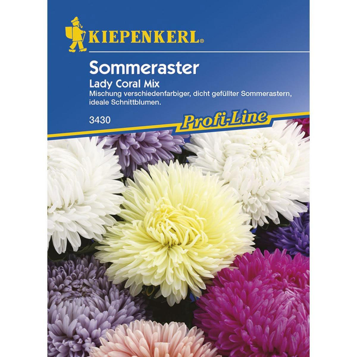 Kiepenkerl Sommeraster Lady Coral Mix Bild 1