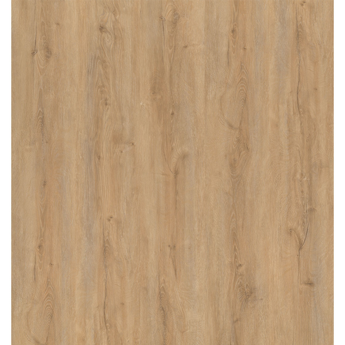 Strong SPC Vinylboden Georgia 122 x 228 x 3,8 mm Bild 3