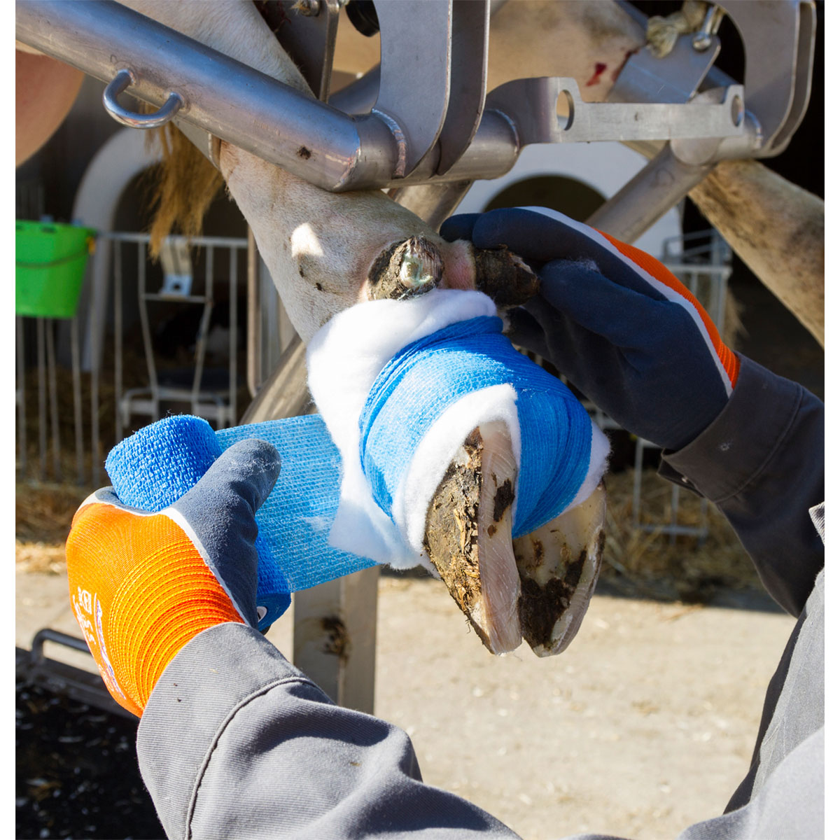 Bandage EquiLastic 10 x 450 cm blau Bild 4