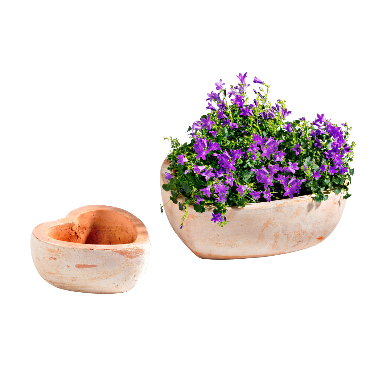 Haveson Pflanzschale Herz klein Bild 3