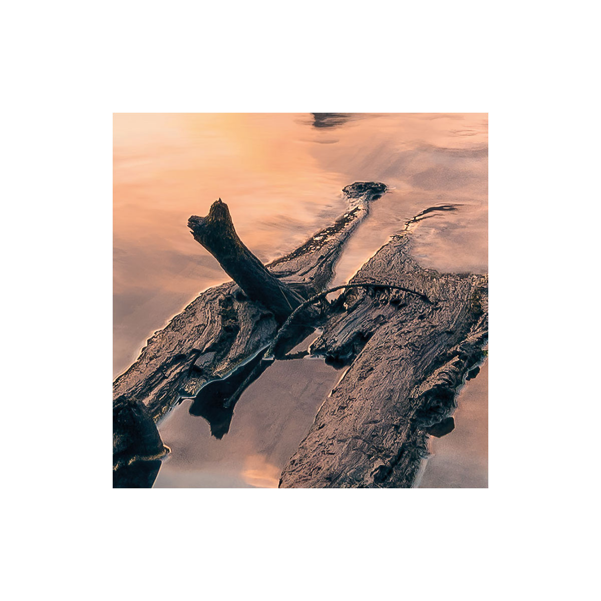 Komar  Vlies Fototapete Burning Emerald 450x280 cm Bild 4