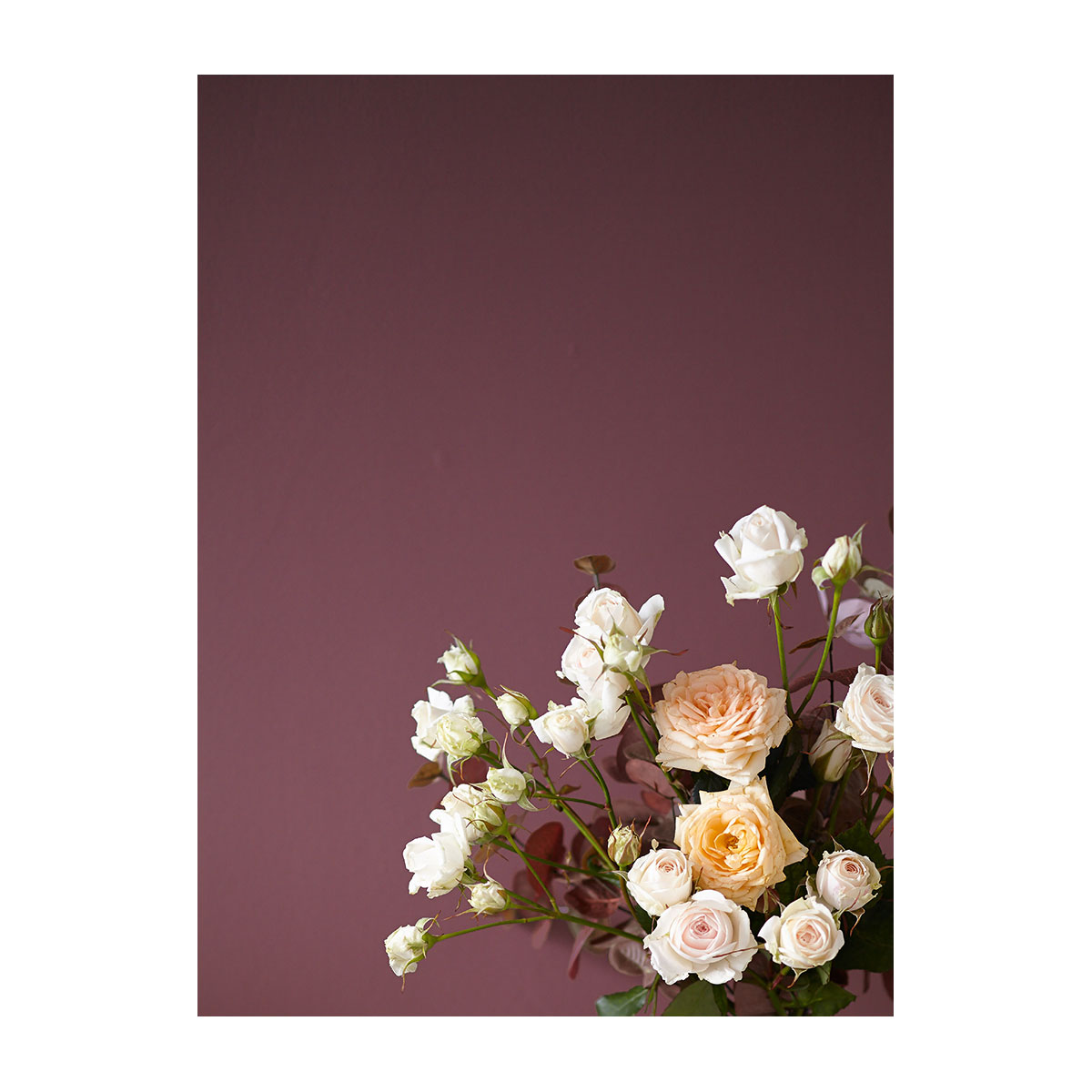 Alpina Feine Farben Farbe der Könige 2,5 L Bild 3