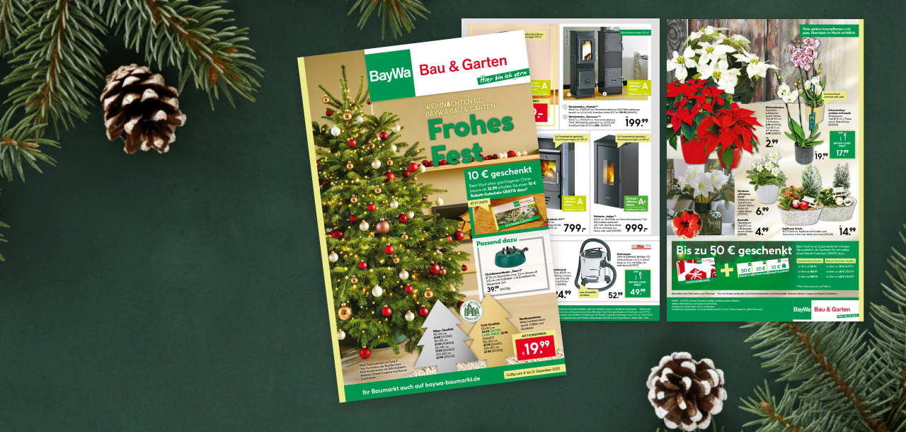 Beilage: Frohes Fest