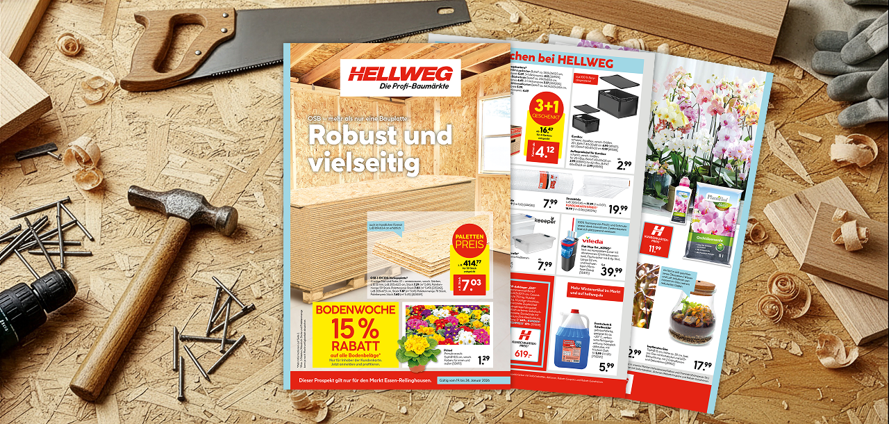 Beilage: Robust und vielseitig 