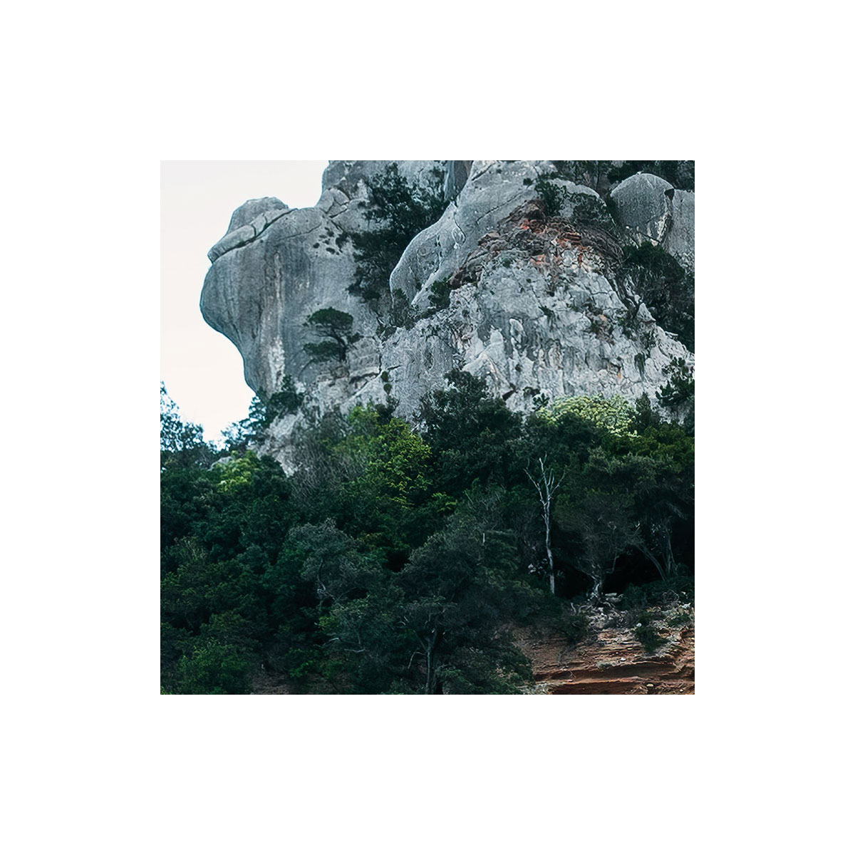 Komar  Vlies Fototapete Beach Tales 450x280 cm Bild 6